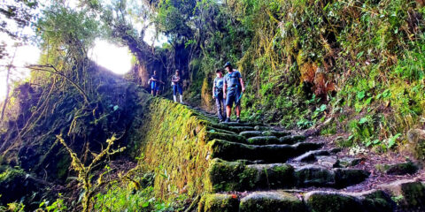 inca-trail-14